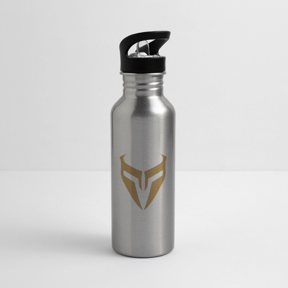 Stainless steel gym water bottle – Vigil Steel Bottle - silver
